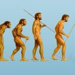 posture_evolution